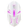 USB Wired Gaming Mouse 5000 DPI 3 Buttons Silent Mause Backlit Professional Gamer Mice Ergonomic Computer Mouse For PC Laptop