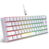 68 Keys Gaming Keyboard USB Wired Portable 20 RGB Backlight Keyboard for Windows Laptops Computer