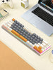 68-Key Mini Mechanical Usb Wired Gaming Keyboard, RGB Backlit Multi-Color, for Windows PC/Desktop/Laptops