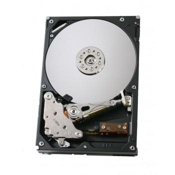 0G00053 | Hitachi G-Tech 500GB 7200RPM SATA 3.0Gb/s Hot Swap 3.5-inch Hard Drive Module