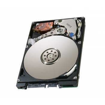 81Y9775 IBM 3TB 7200RPM 6GB/s NL SATA 3.5-inch Hot Swapable Hard Drive with Tray