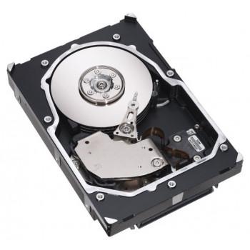 9FS004-044 | Seagate Cheetah NS.2 600GB 10000RPM Fibre Channel 4Gbps 16MB Cache 3.5-inch Hard Drive