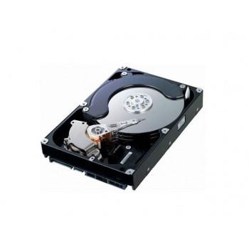 81Y9725 | IBM 250GB 7200RPM 6GB/s NL SATA 2.5-inch SFF Hot Swapable Hard Drive