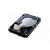 81Y9725 | IBM 250GB 7200RPM 6GB/s NL SATA 2.5-inch SFF Hot Swapable Hard Drive