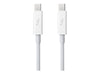 MD862ZM/A | Apple 0.5m Thunderbolt Cable