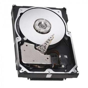ST3300955FC | Seagate Cheetah NS 300GB 10000RPM Fibre Channel 4Gbps 16MB Cache 3.5-inch Hard Drive